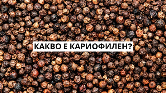 Какво е кариофилен?