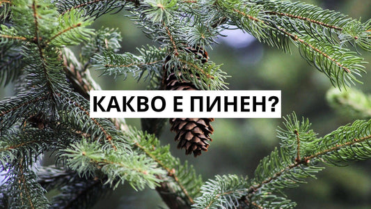 Какво е пинен?