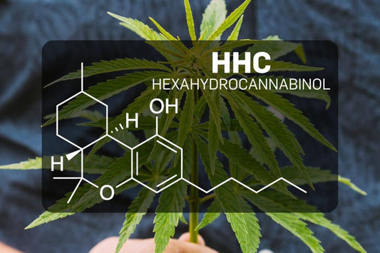 Химична структура на HHC (Хексанидроканабинол)