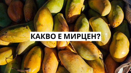 Какво е мирцен?