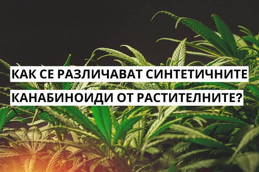 Сравнение между синтетични и натурални канабиноиди, извлечени от растения.