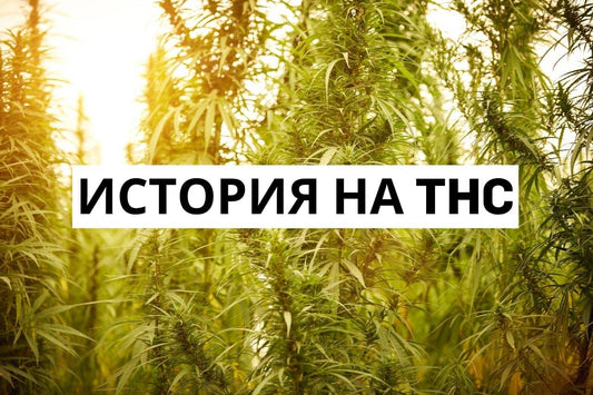 История на THC