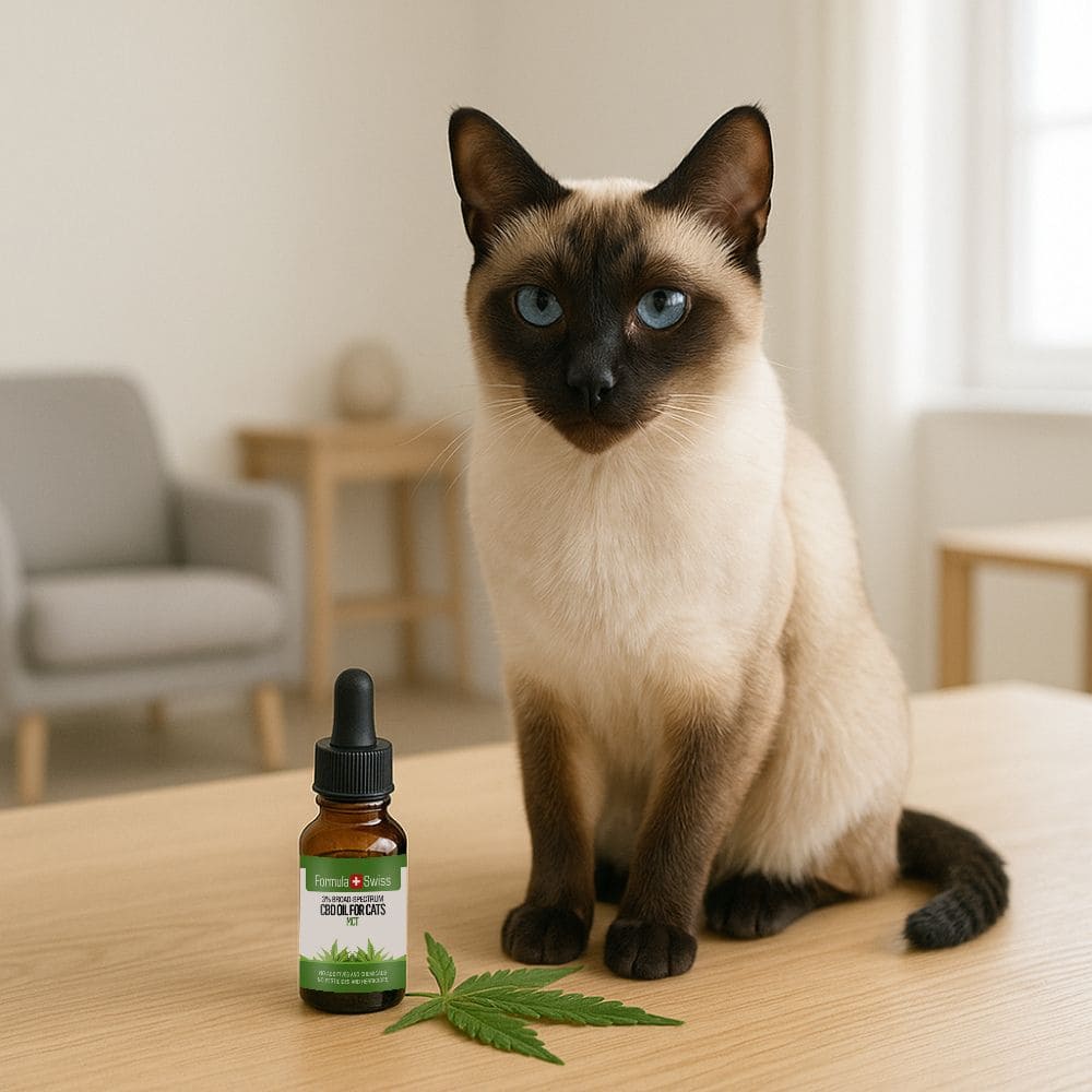 CBD масло в MCT масло за котки