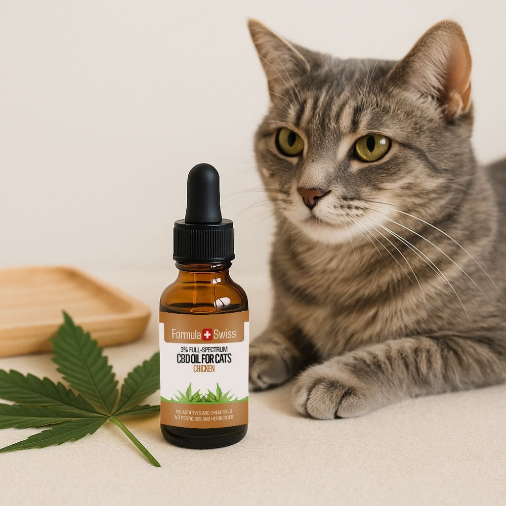 CBD масло в MCT масло с аромат на пиле за котки