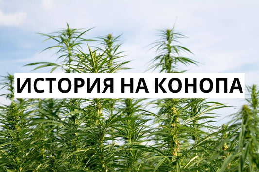 История на конопа