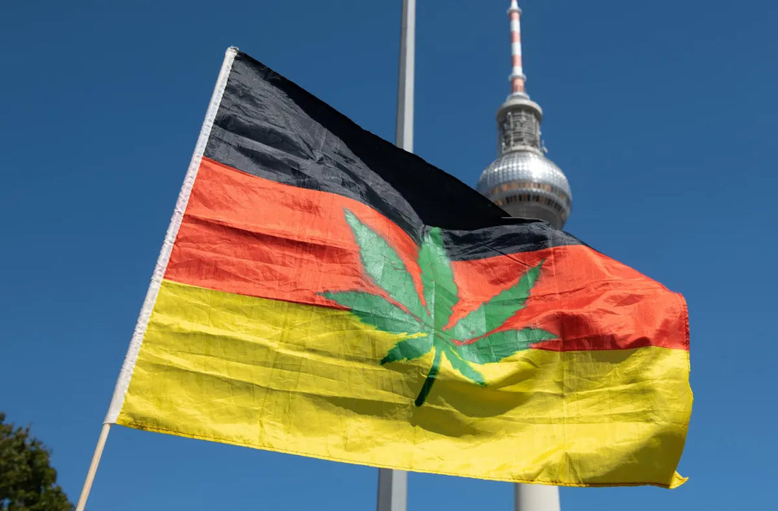 Легализация на канабиса в Германия