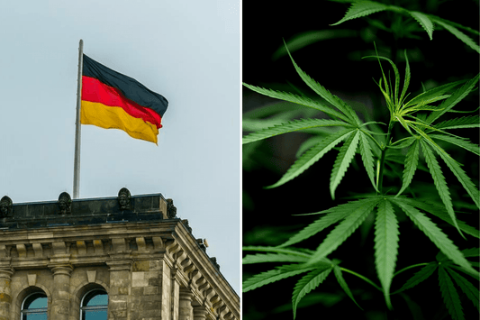 Germany Eyes Canada's Cannabis Success
