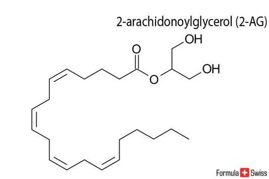 2-AG и анандамид - два важни ендоканабиноида