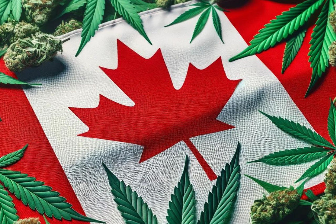 Канадско знаме и листа от канабис