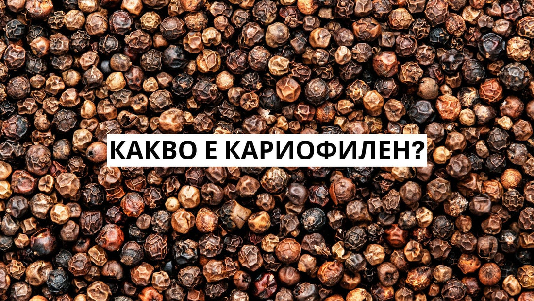 Какво е кариофилен?