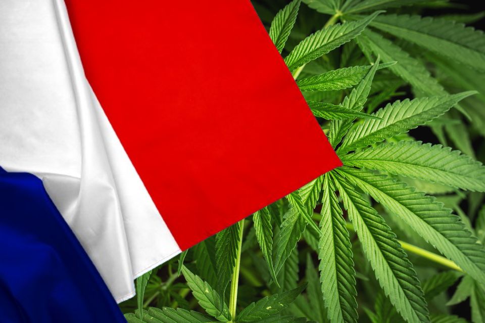 Флагът на Франция пред листа от канабис