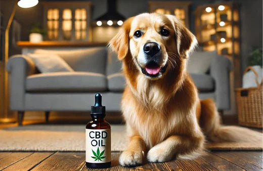 Куче и бутилка CBD масло