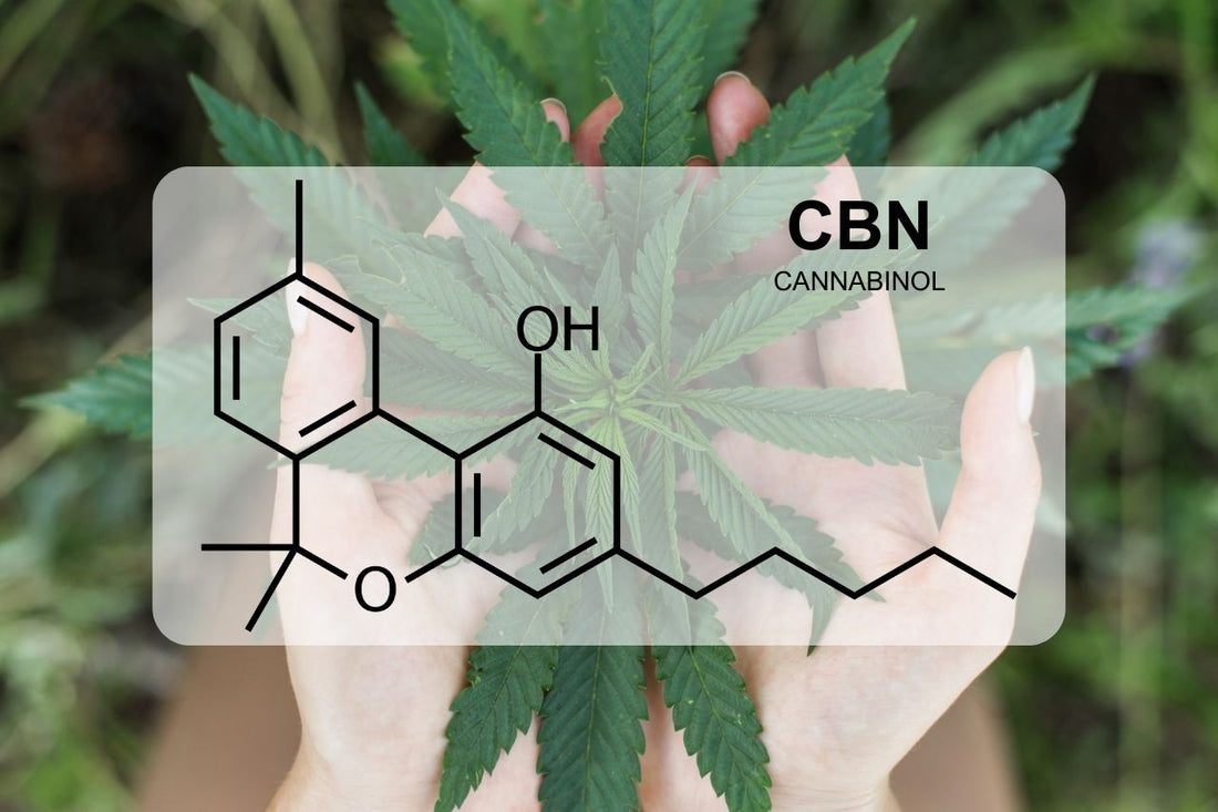Какво е CBN (канабинол)?