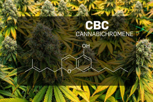 Канабихромен (CBC)
