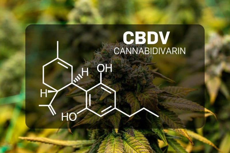 Химична структура на канабидиварин (CBDV)