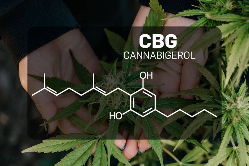 Химична структура на CBG (канабигерол)