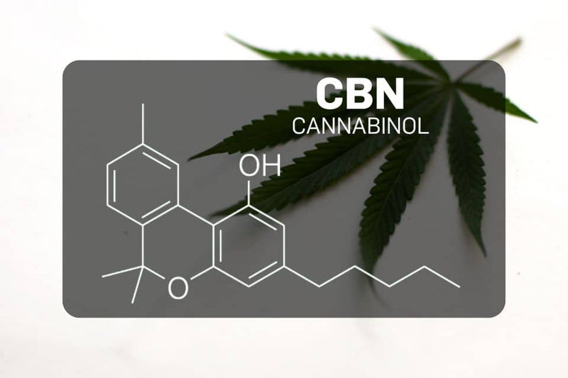 CBD vs CBN: what's the difference?