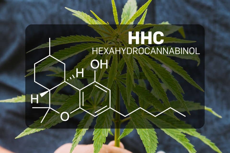 Химична структура на HHC (Хексанидроканабинол)