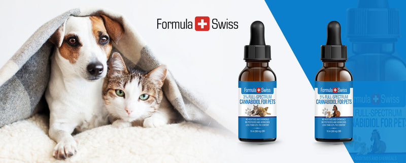 Archived launch of pet CBD oils in hemp seed oil