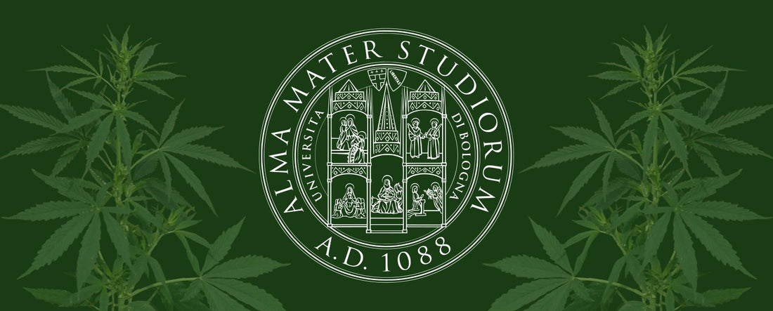 Изследователско сътрудничество с университета в Болоня