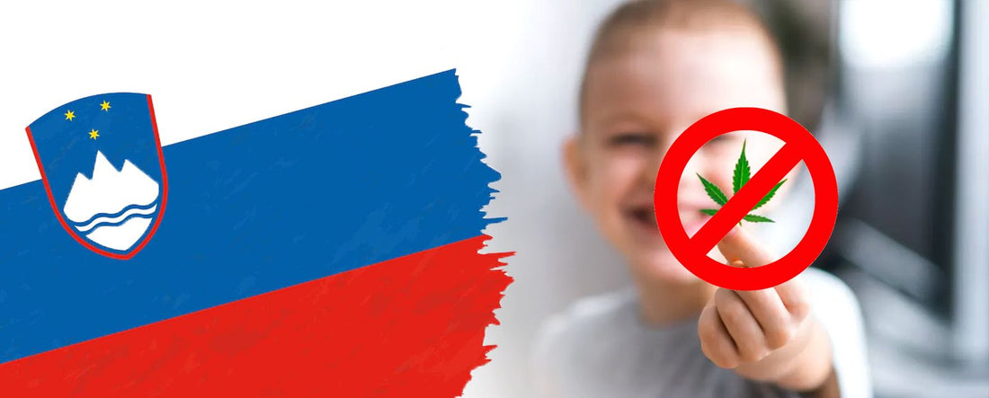 Словения забранява CBD, след като местни производители отравят деца