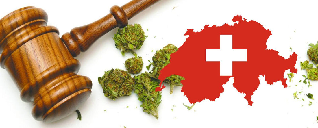 Швейцария работи по легализирането на медицинската марихуана