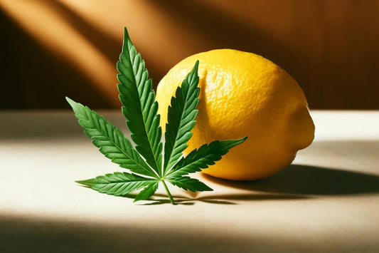 Лимон и листо канабис