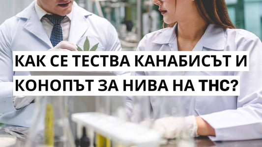 Как се тества канабисът и конопът за нива на THC?