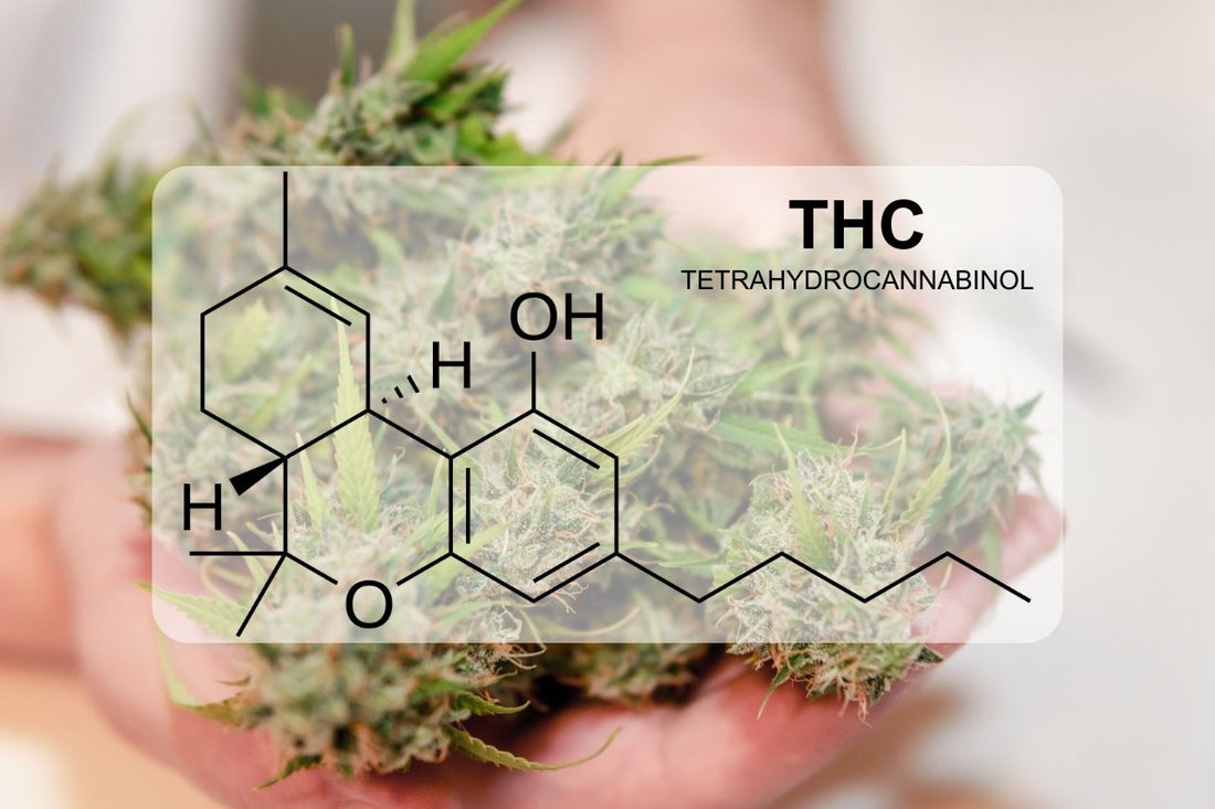 Какво представлява THC (тетрахидроканабинол)?