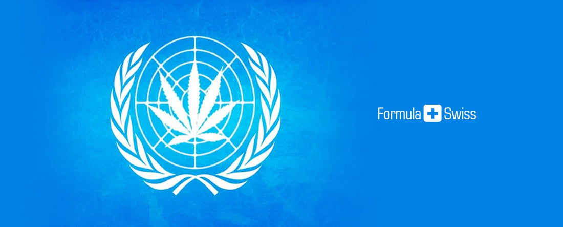 Панелът на Организацията на обединените нации издава първия в историята доклад за марихуана