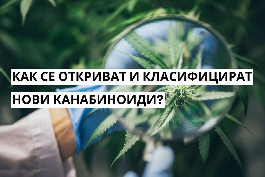 Как се откриват и класифицират нови канабиноиди?