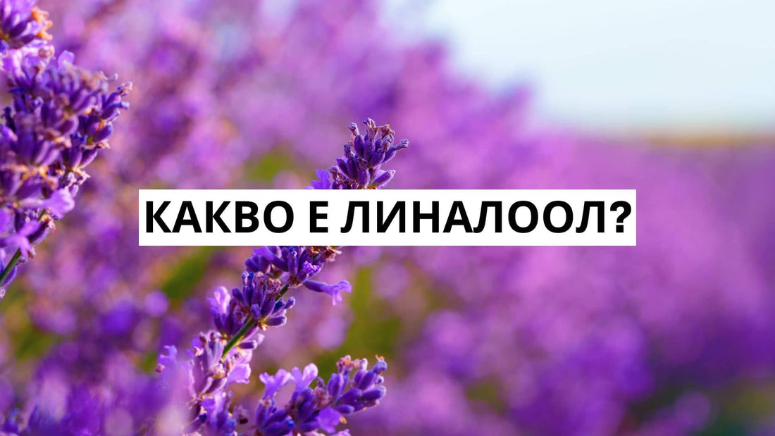 Какво представлява линалоолът?
