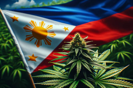 Растение канабис и знамето на Филипините