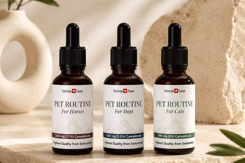 Масла с CBD Pet Routine на Formula Swiss за коне, кучета и котки върху каменна повърхност