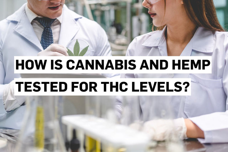 Как се измерва съдържанието на THC в канабиса и конопа?