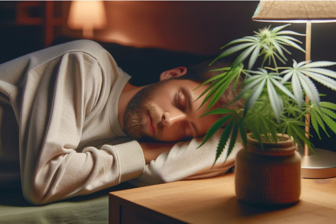  Спящ мъж с растение канабис до него
