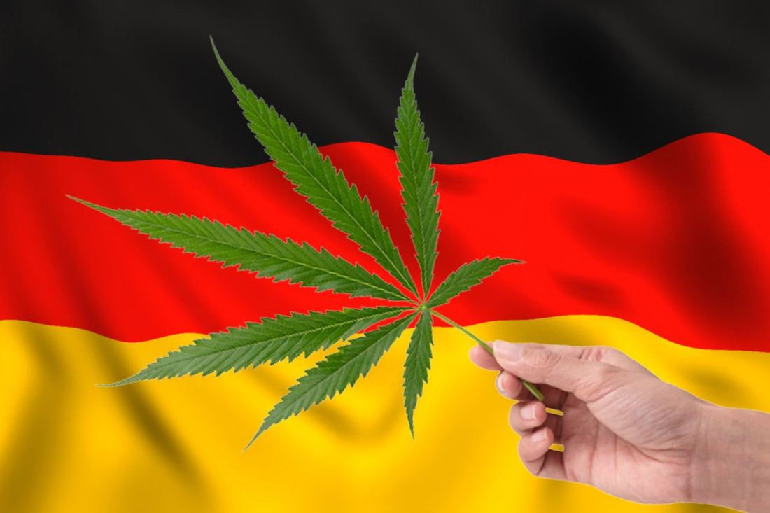 листо от канабис пред германското знаме