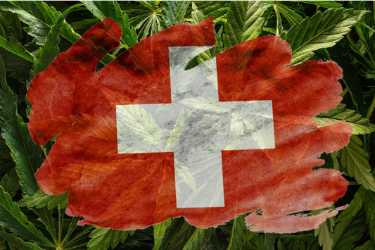 Швейцарското знаме с растение канабис на заден план