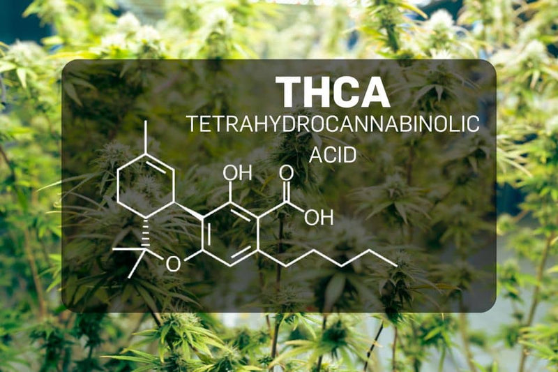 Химична структура на THCA на фона на канабис