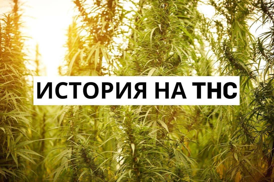 История на THC