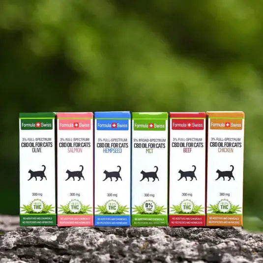 CBD масло за котки