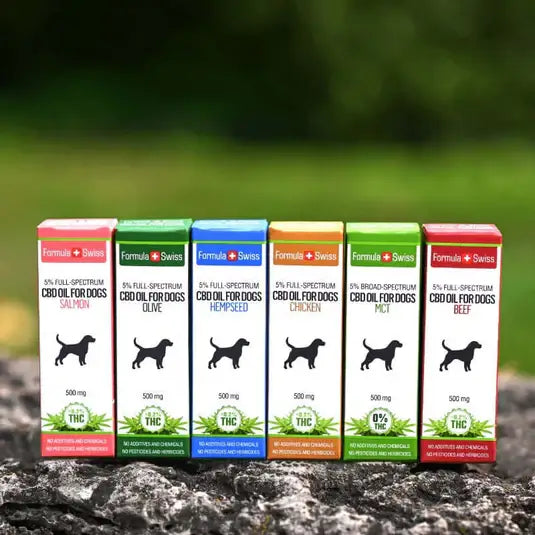 CBD масло за кучета