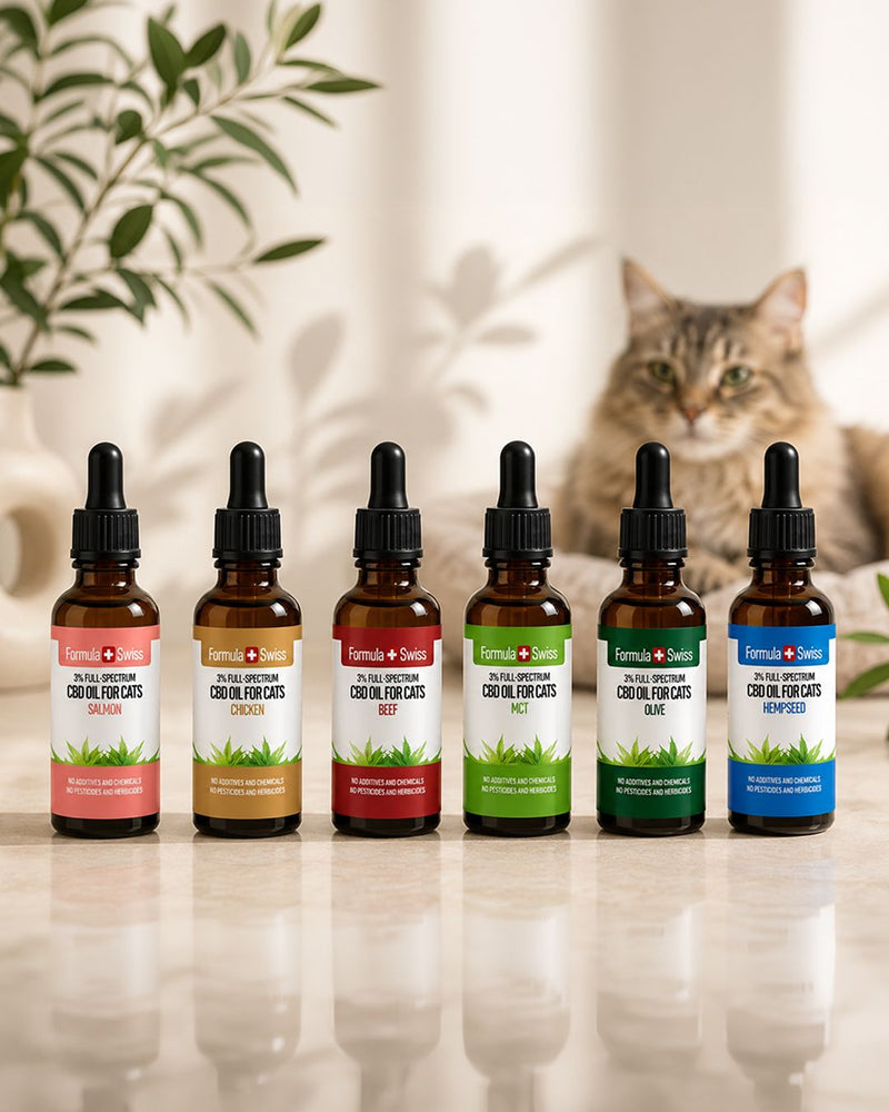 CBD масло за котки