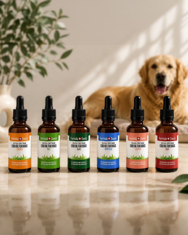 CBD масло за кучета