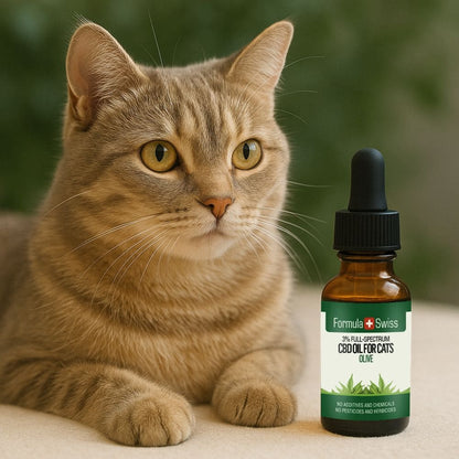 CBD масло в зехтин за котки