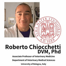 Professor Roberto Chiocchetti от Университета на Болоня