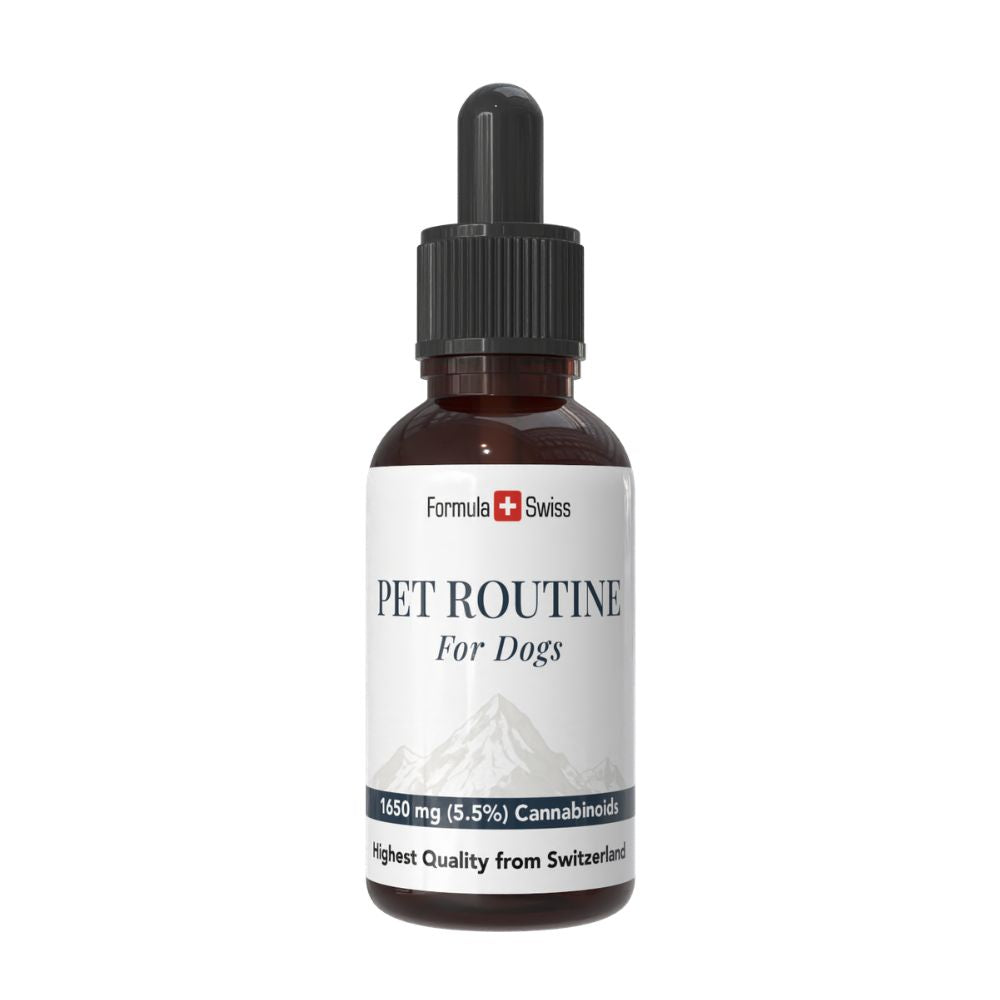 Бутилка Pet Routine за кучета с бял етикет на бял фон